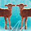Cloning