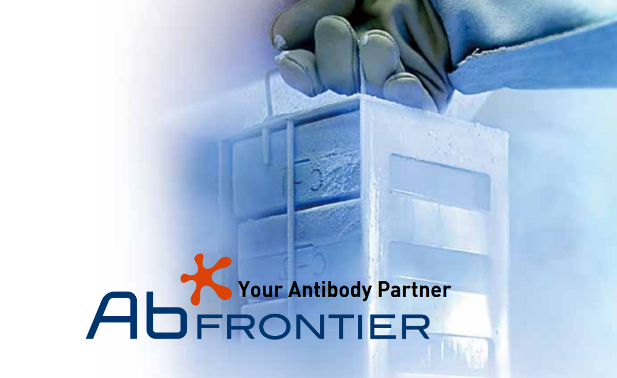 Human MAS Related GPR Member X2 (MRGPRX2) ELISA Kit - 96 tests x 2