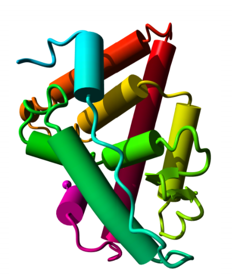 Anaplasma phagocytophilum Real-Time PCR, 100 rxs.