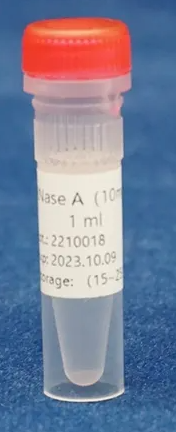 Antibody