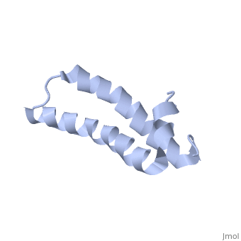 CometAssay Lysis Solution, 1000 ml